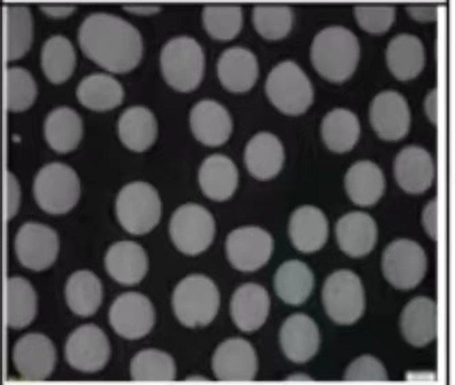 Optical and tissue validation